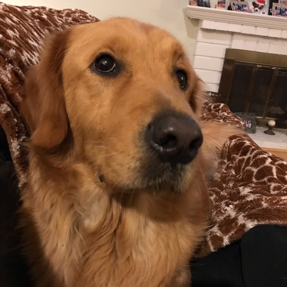 Meet your Posher, Rosio